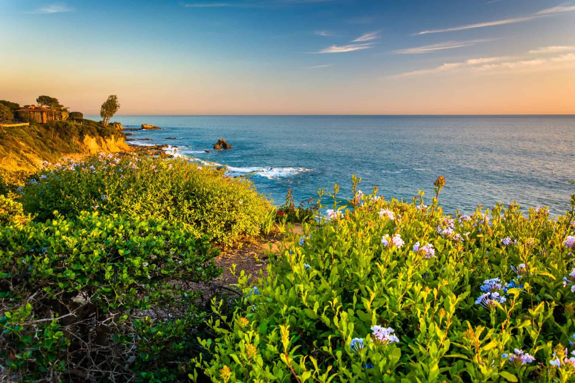 Charming Residential Area in Corona Del Mar